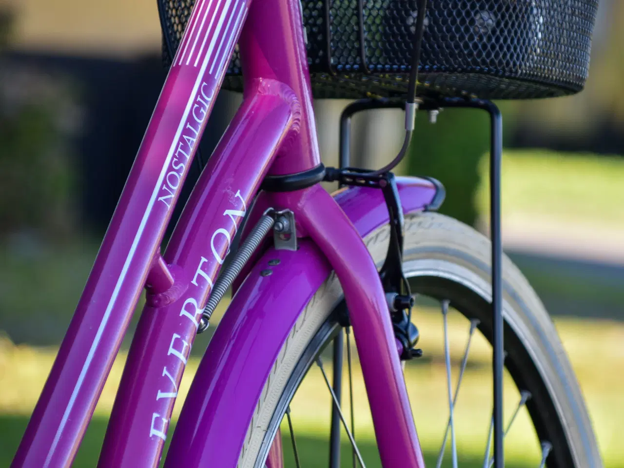 Billede 9 - Everton Nostalgic 7G 47CM