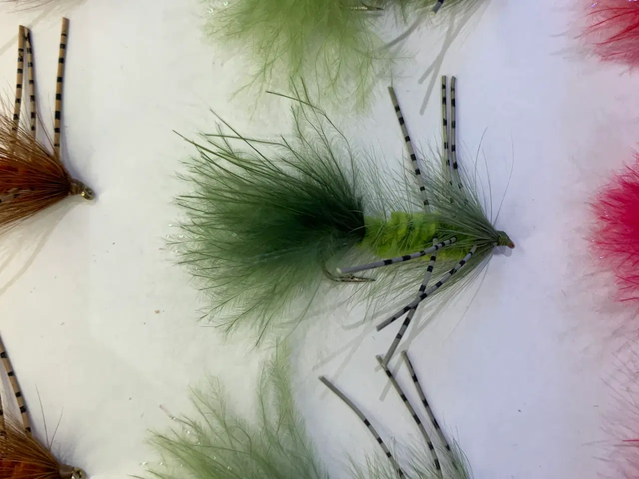 Billede 3 - Put and take fluer