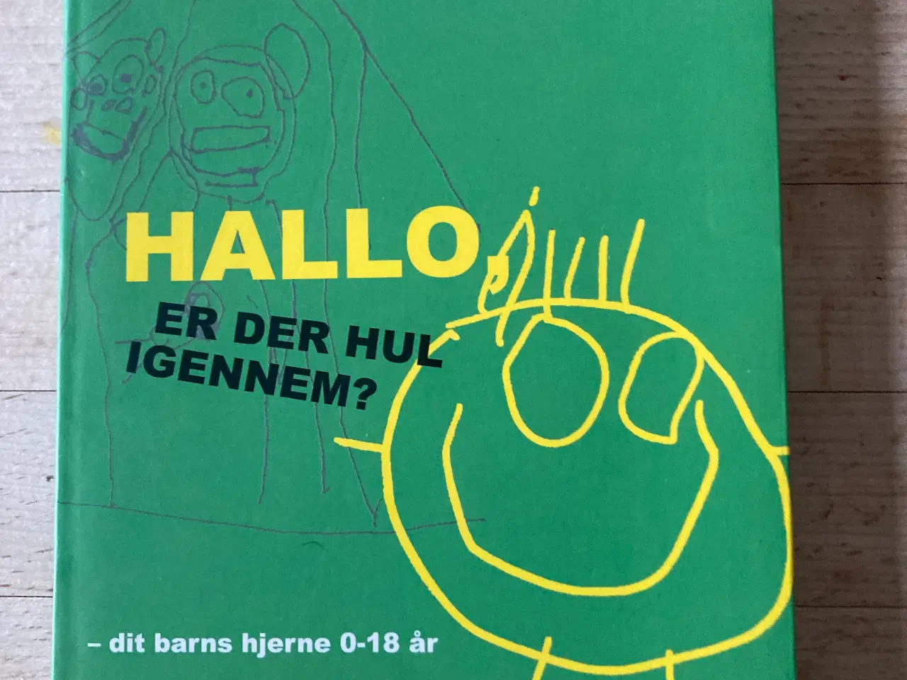 Billede 1 - Hallo er der hul igennem? Ann-Elisabeth Knudsen mf