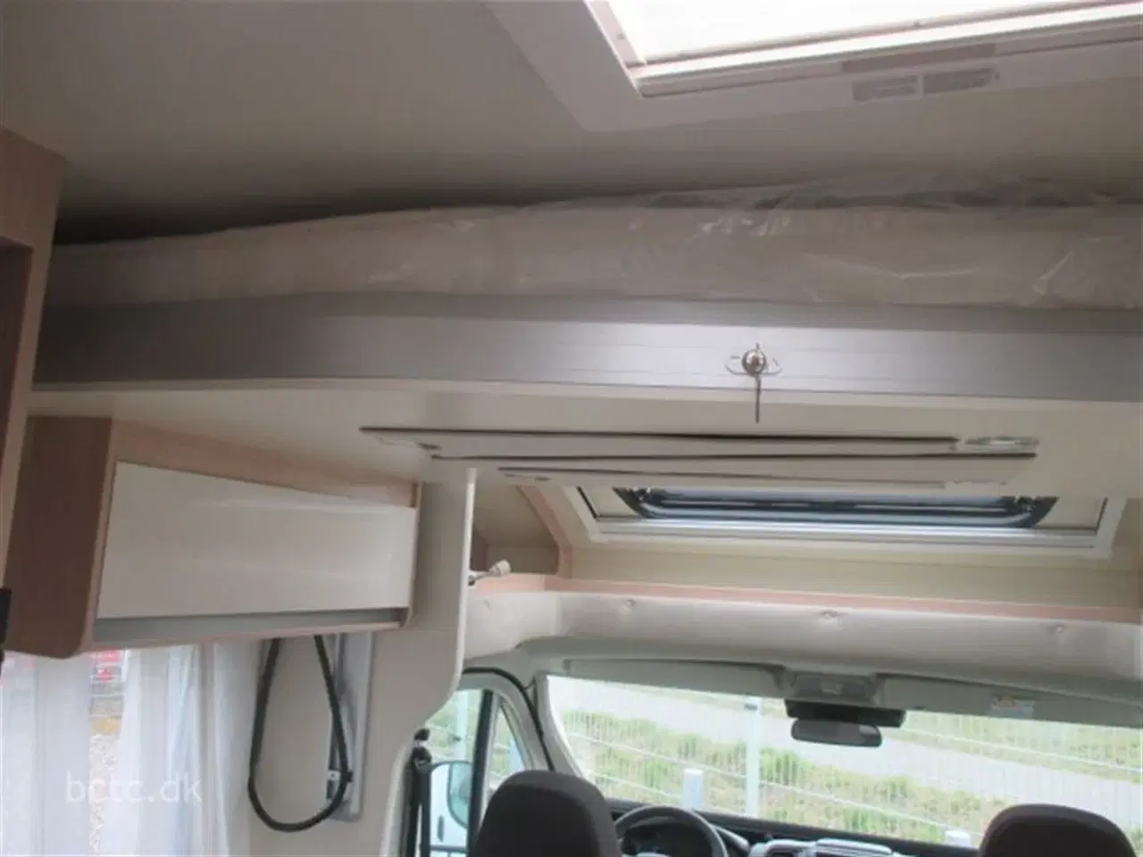 Billede 19 - 2022 - Giottiline Sienna