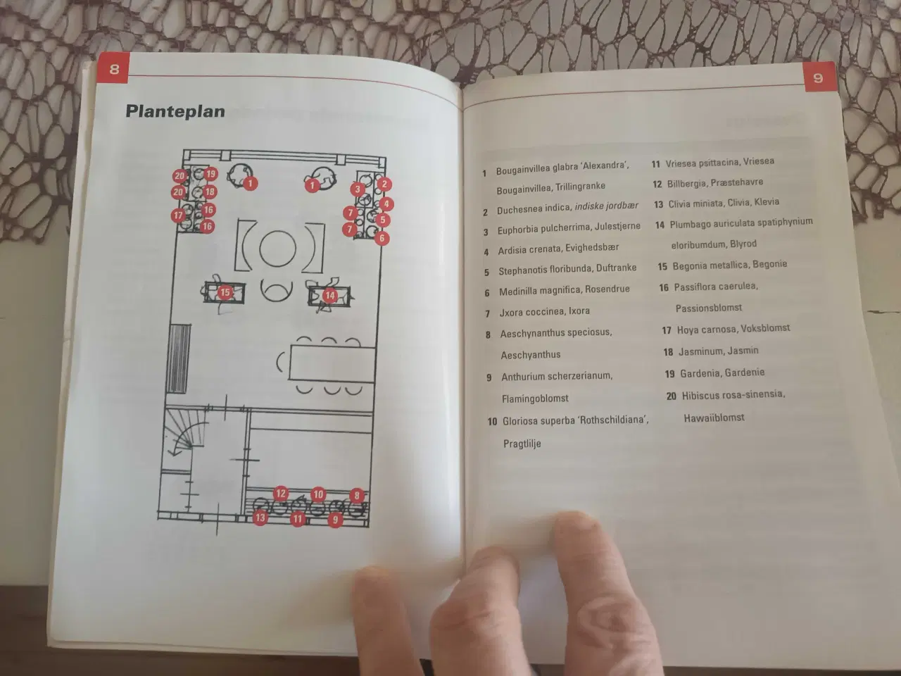 Billede 5 - Haveguiden - Den blomstrende stuehave