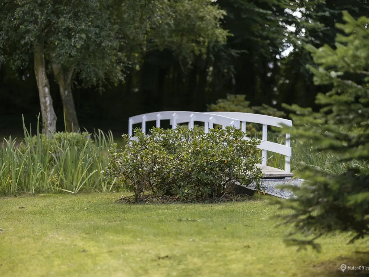 Billede 17 - Albertslunds flotteste kontor midt i en oase