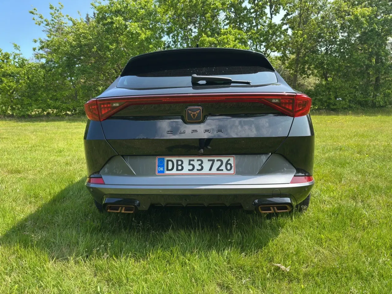 Billede 6 - Cupra Formentor 1,4 eHybrid VZ DSG