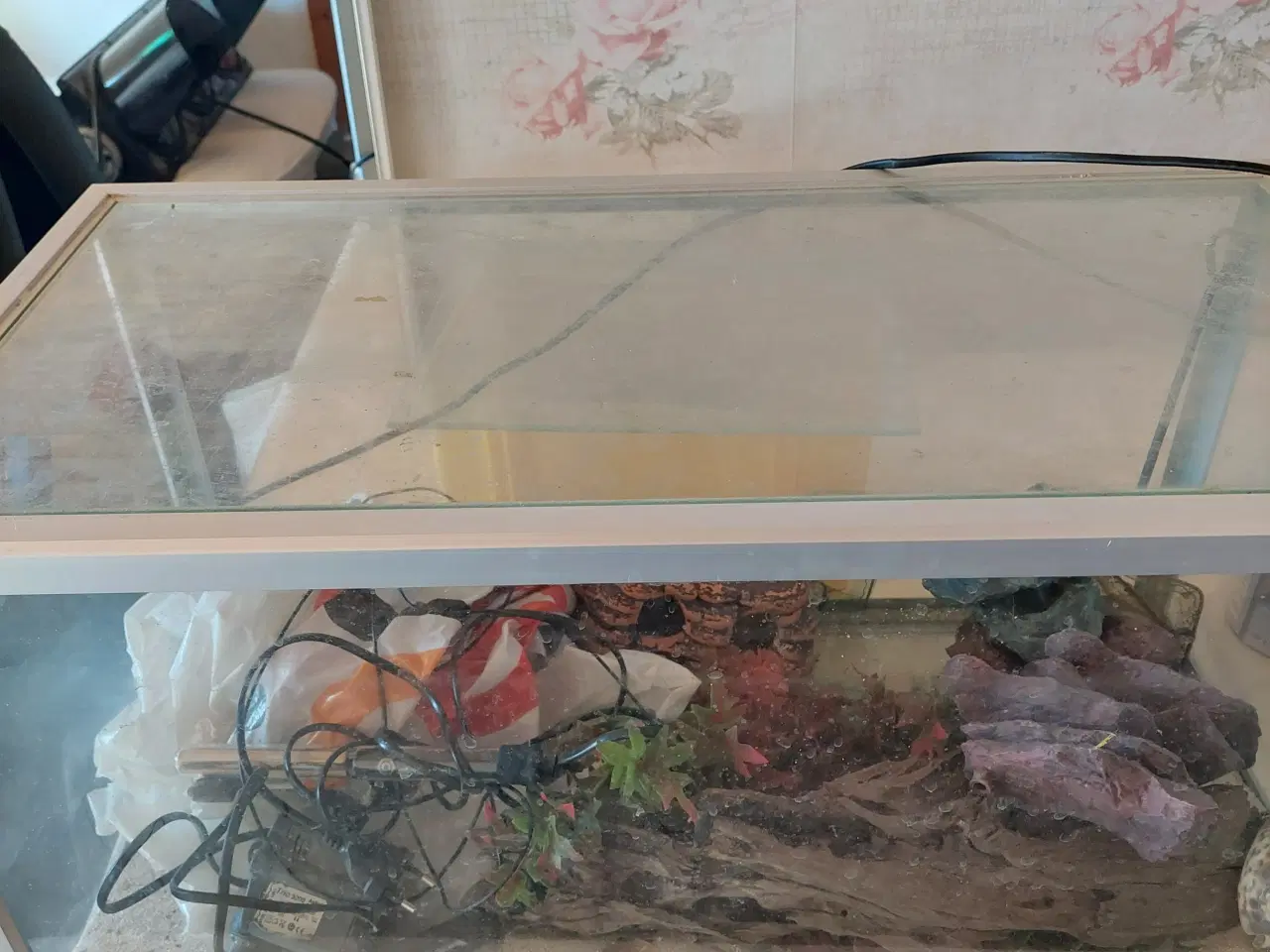 Billede 1 - Akvarie