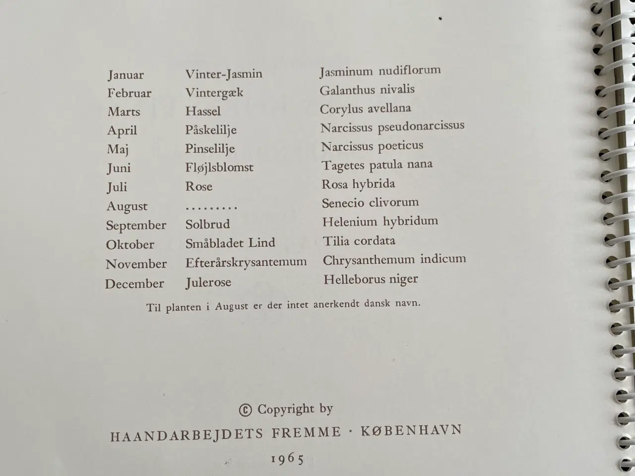 Billede 2 - Haandarbejdets Fremme Aarets Korssting