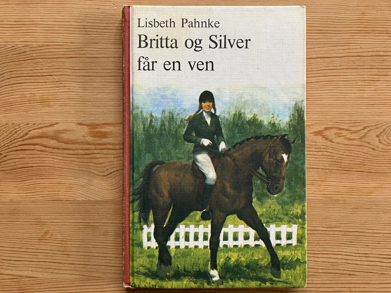 Billede 4 - Hestebøger, Britta bøger, Lykke bøger m.fl.