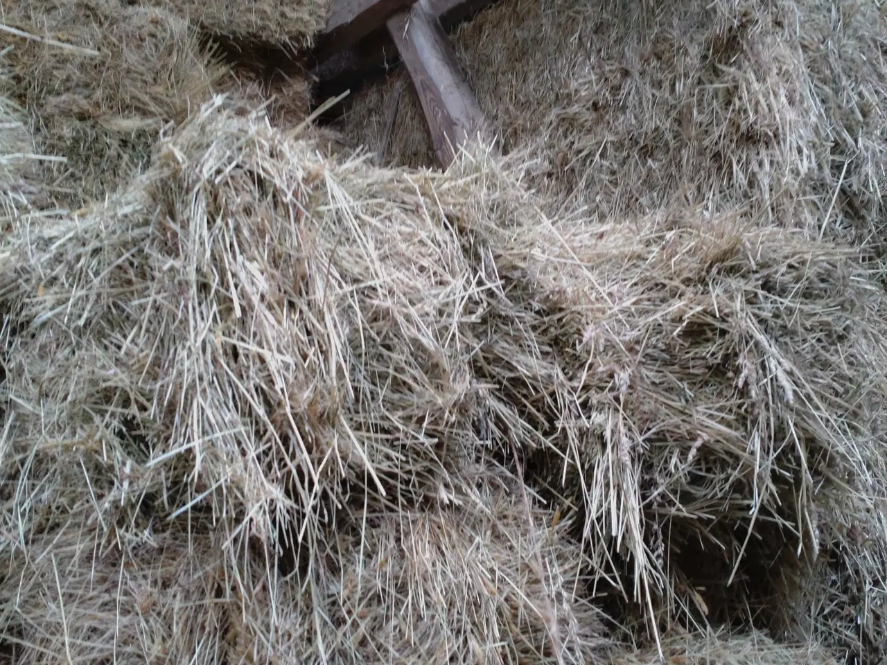 Billede 4 - hø i minibig