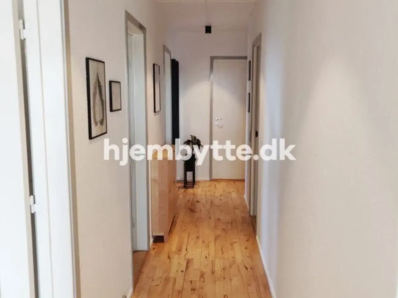 Billede 7 - Hjembytte - Stærevej