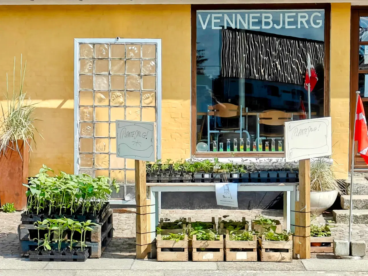 Billede 3 - PLANTESALG i Vennebjerg 