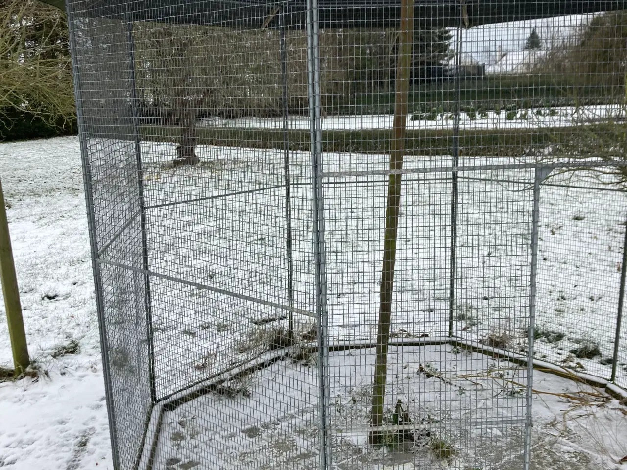 Billede 2 - Et stk 8 kantet Randers Volier komplet 4500krv88