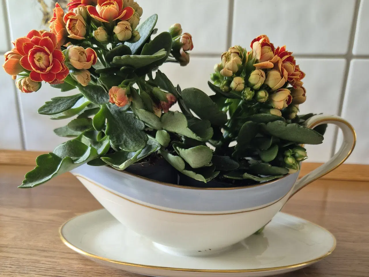 Billede 6 - Københavns Porcelæn Maleri -- Tallerken - fad - su