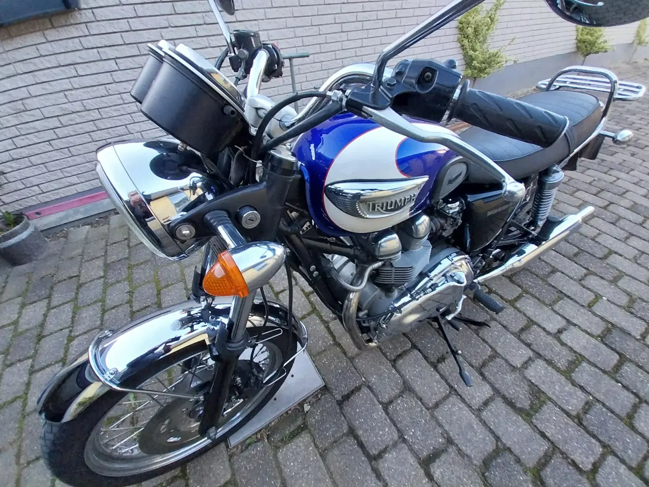 Billede 8 - triumph bonneville t100
