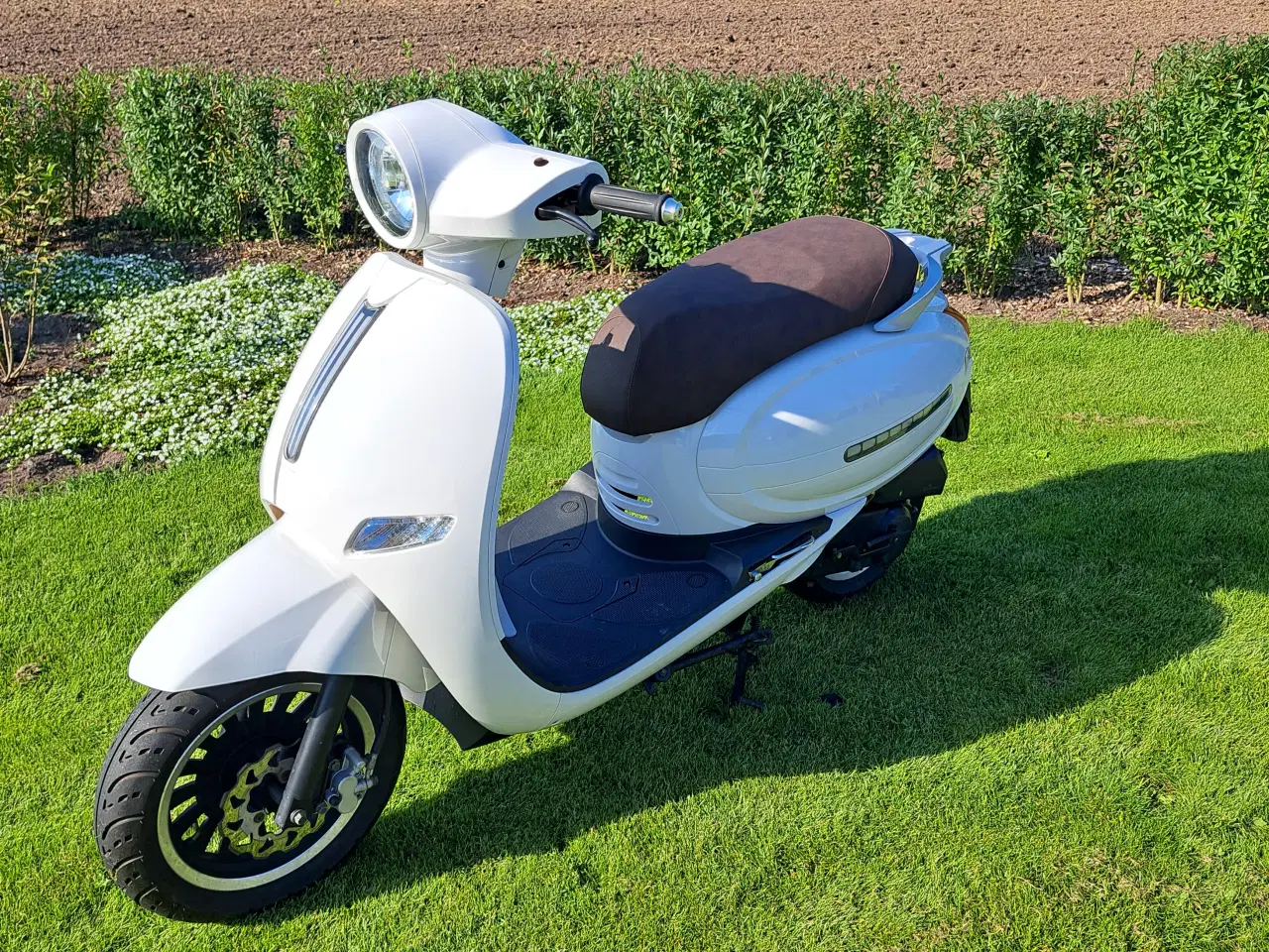 Billede 6 - SCOOTER ZNEN FRIGATE 50