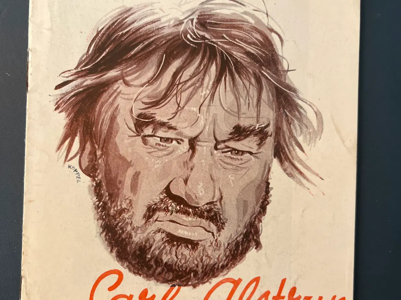 Billede 1 - Vagabonden