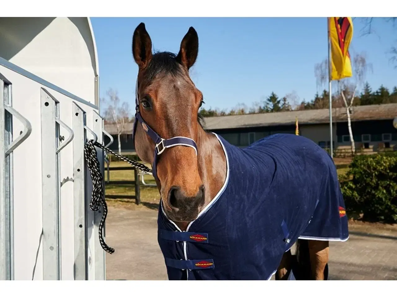 Billede 2 - Böckmann Champion Esprit 25 Grundmodel