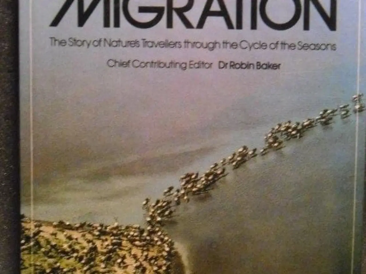 Billede 1 - The Mystery of Migration by Baker