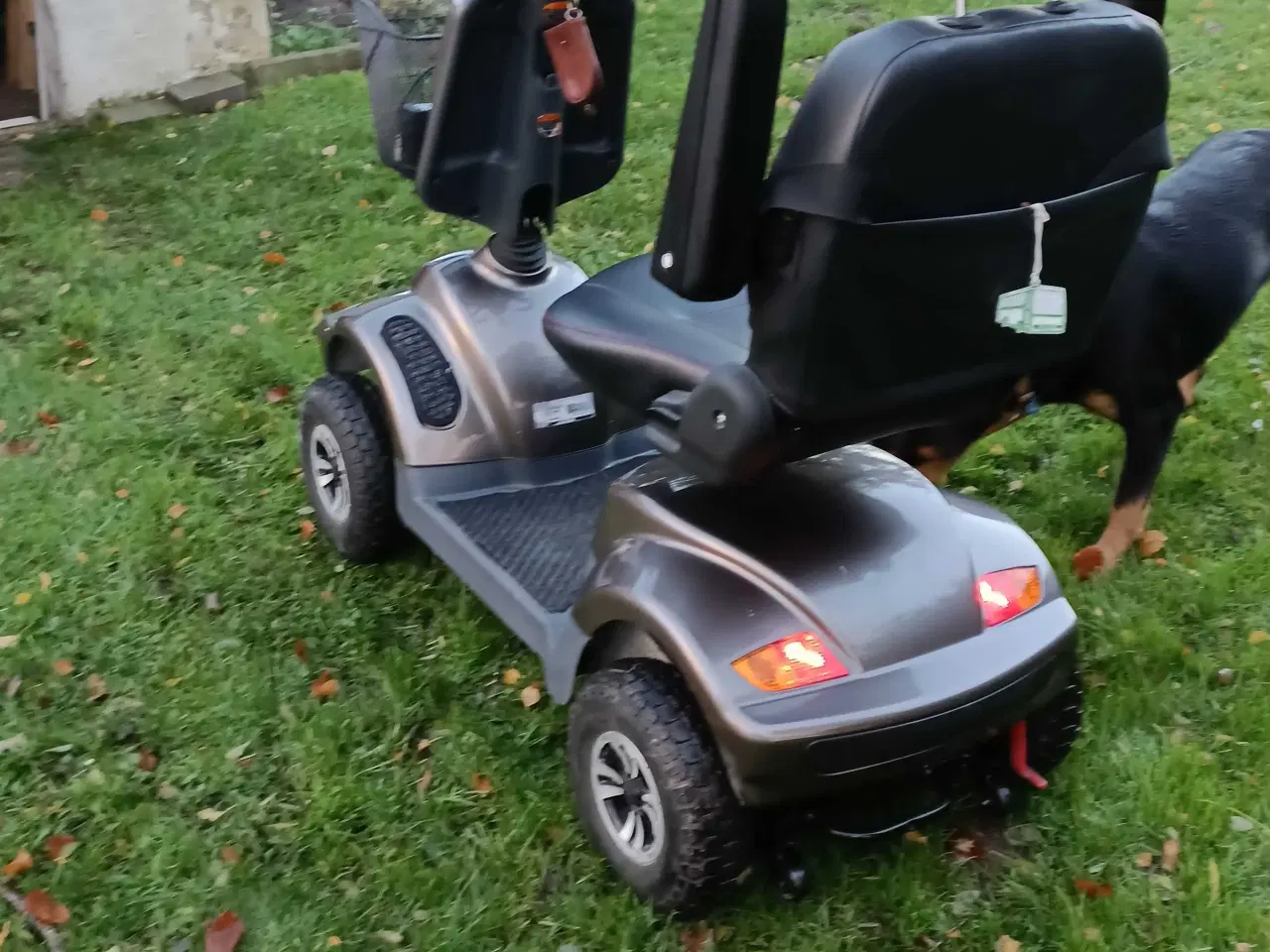 Billede 7 - Mokka sælges 