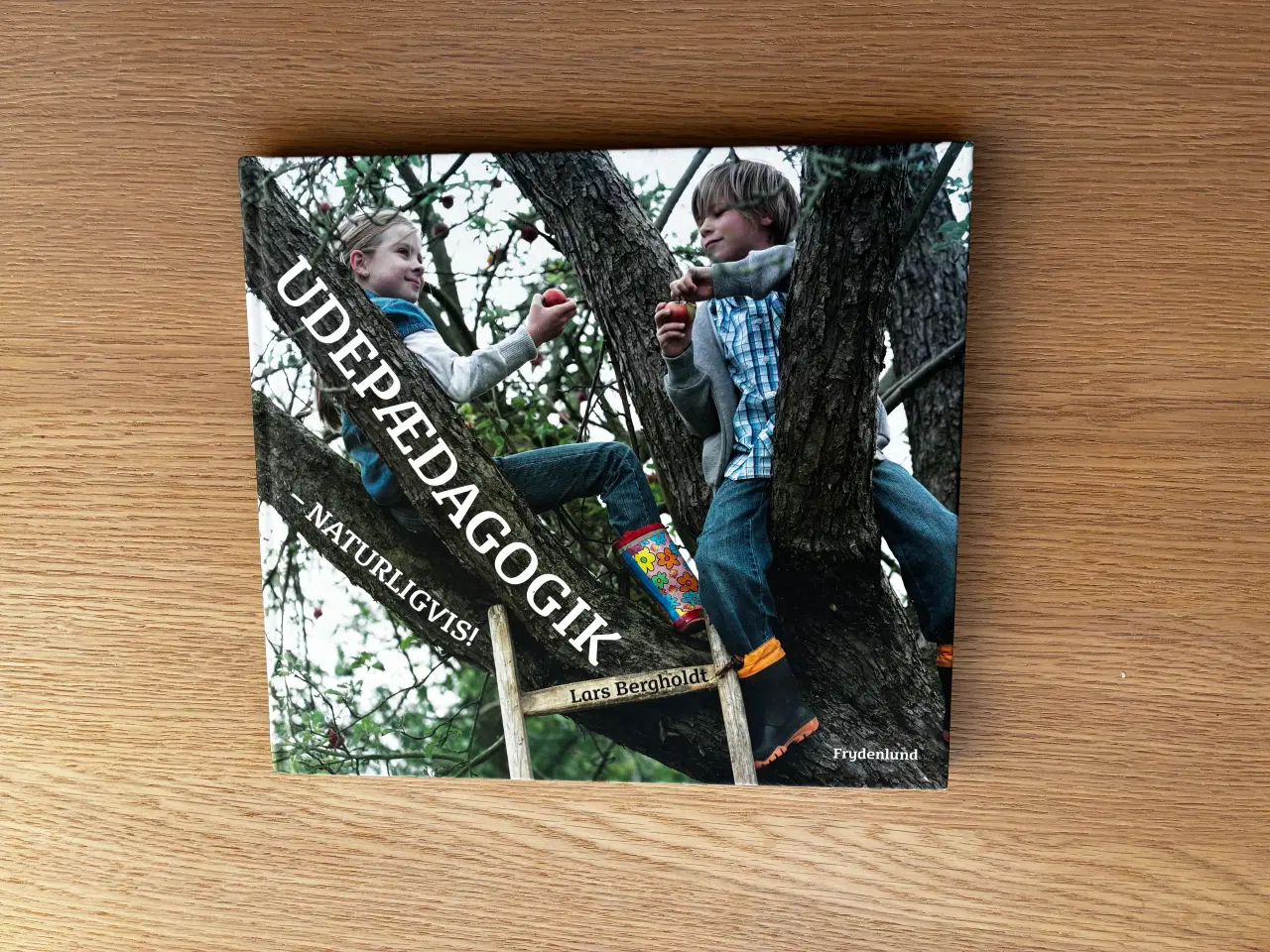 Billede 1 - UDEPÆDAGOGIK - Naturligvis