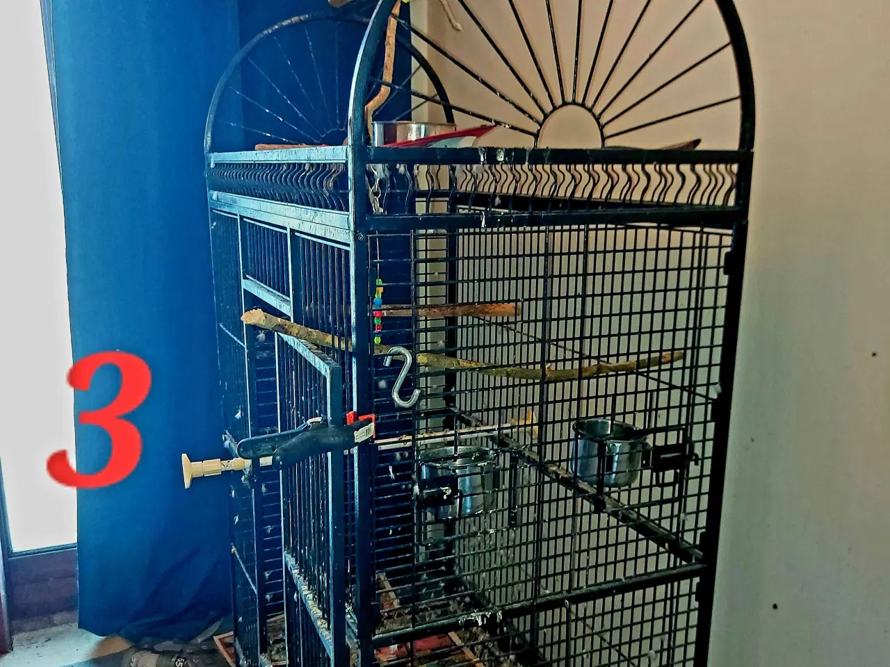 Billede 3 - Blåpandet amazone par 