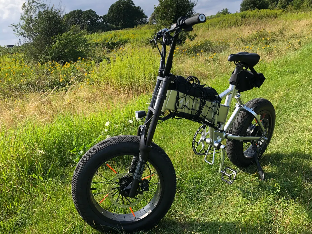 Billede 2 - Mate x bike