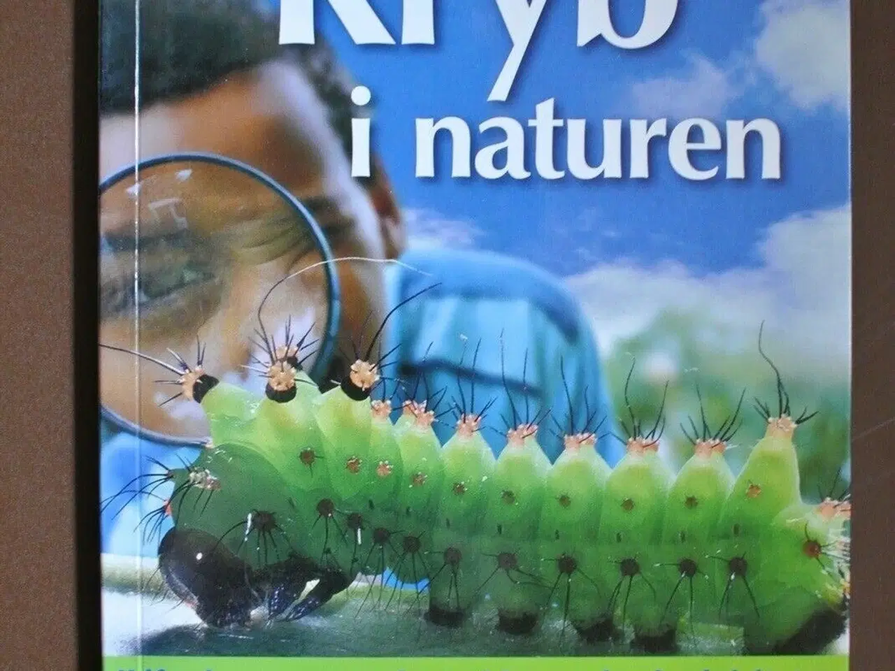 Billede 1 - kryb i naturen - naturguide, af david burnie, emne