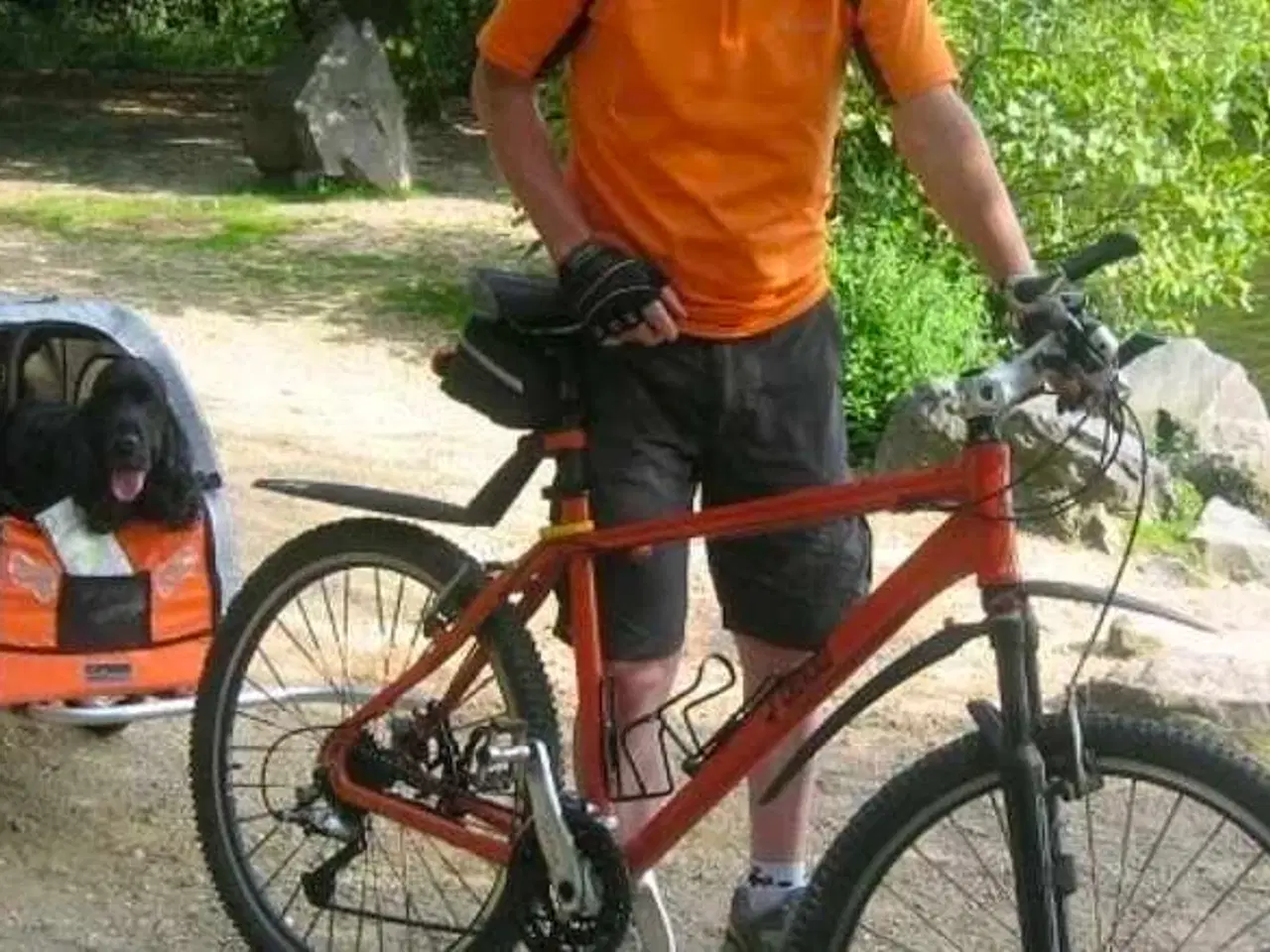 Billede 3 - Cykeltrailer anhænger til hund