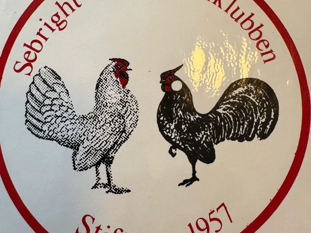 Billede 7 - Dværghøns Bantam
