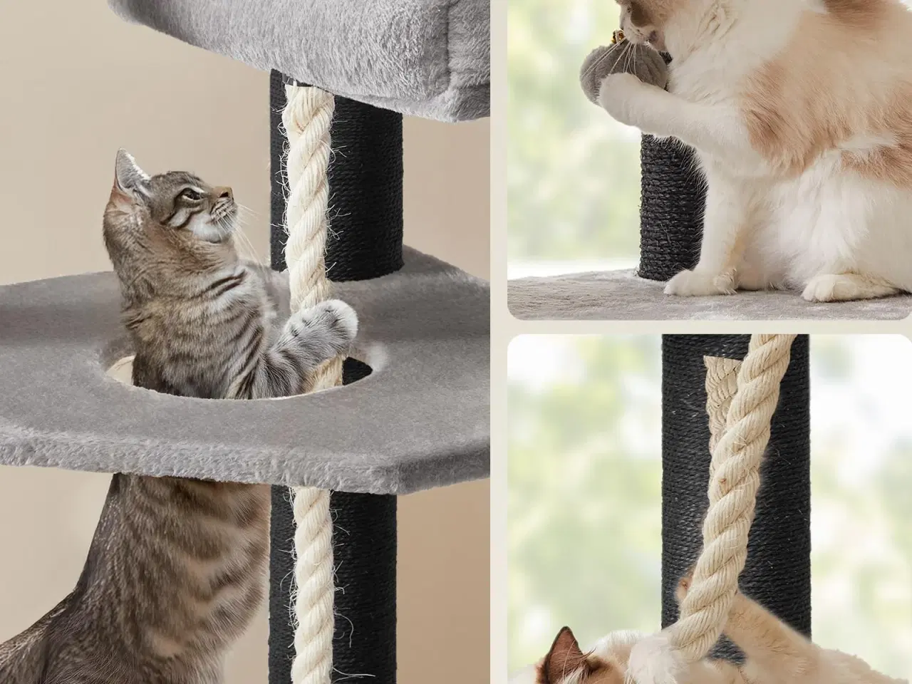 Billede 7 - Feandrea stort kattetræ XXL – multietagers kradsetræ 55 × 55 × 186,7 cm, grå/sort (PCT008G02)