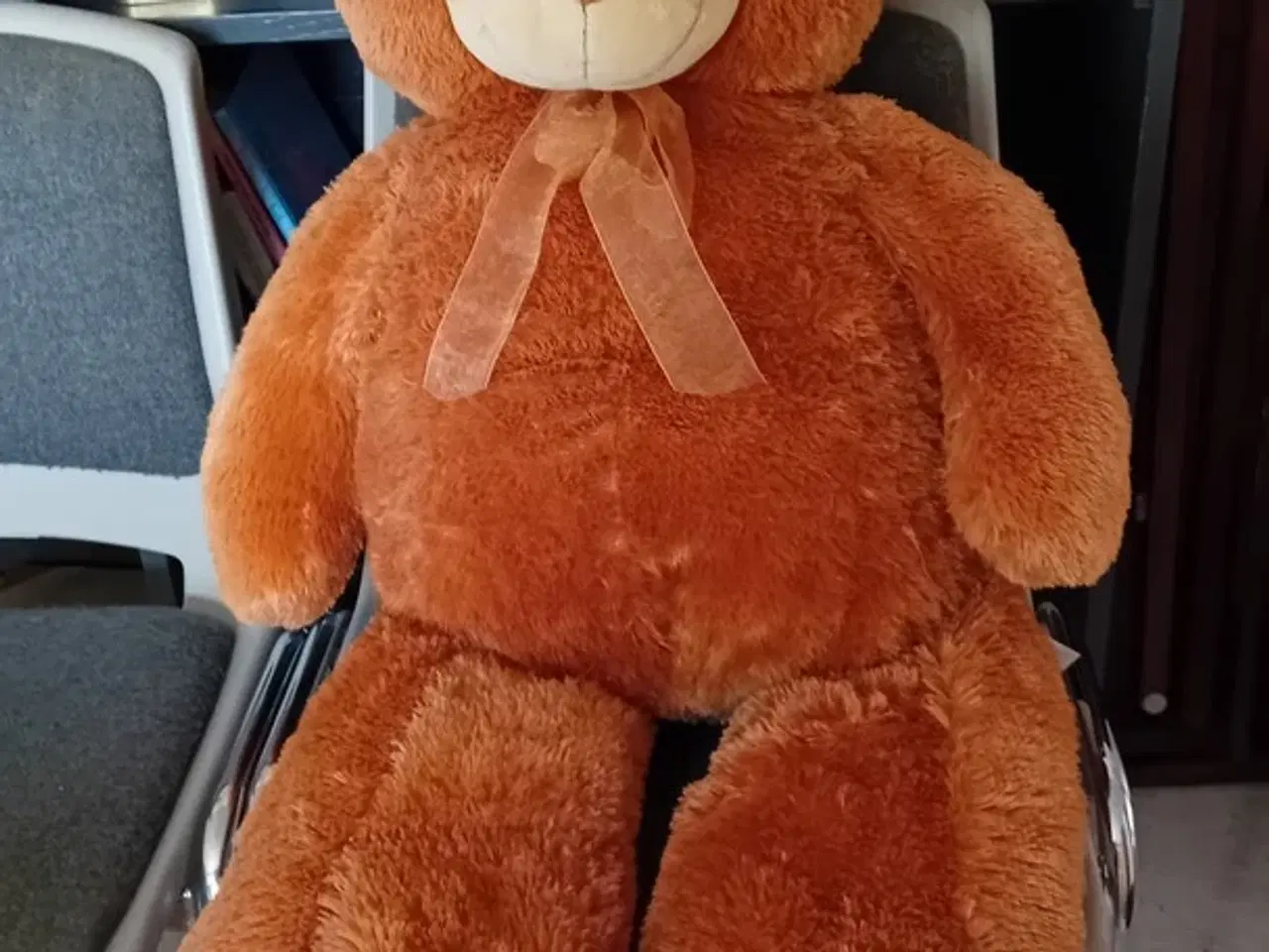 Billede 2 - Meget stor bamse