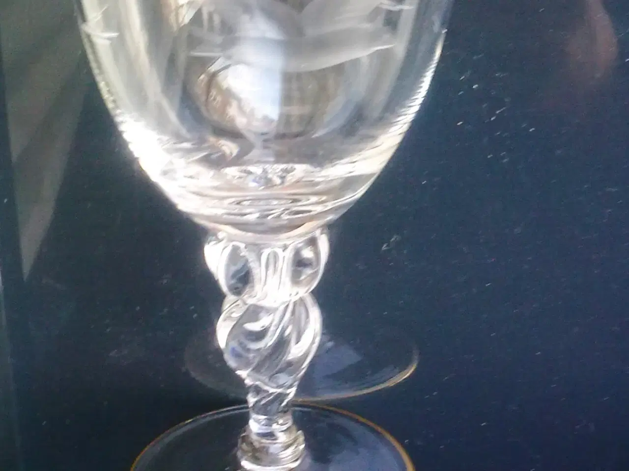 Billede 1 - Måge fugl slibning på vinglas DANMARK