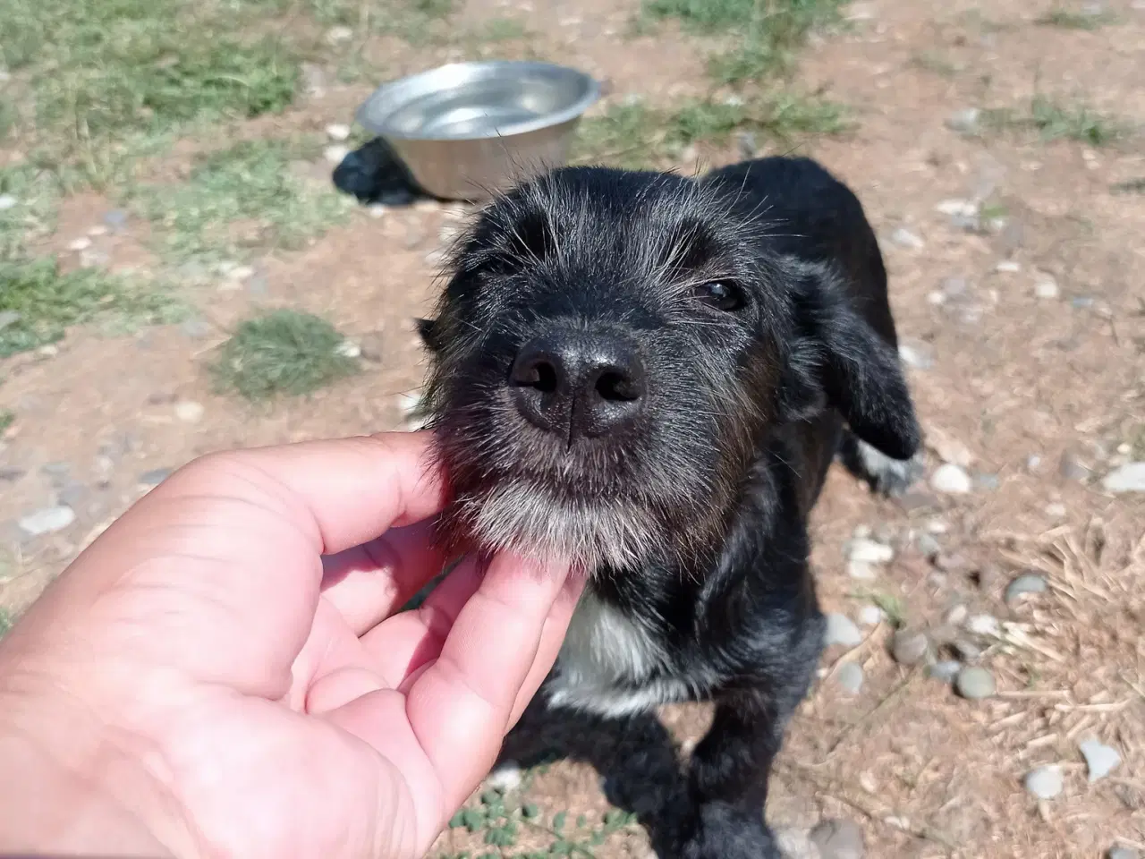 Billede 7 - Allis - Frisk lille kærlig pige