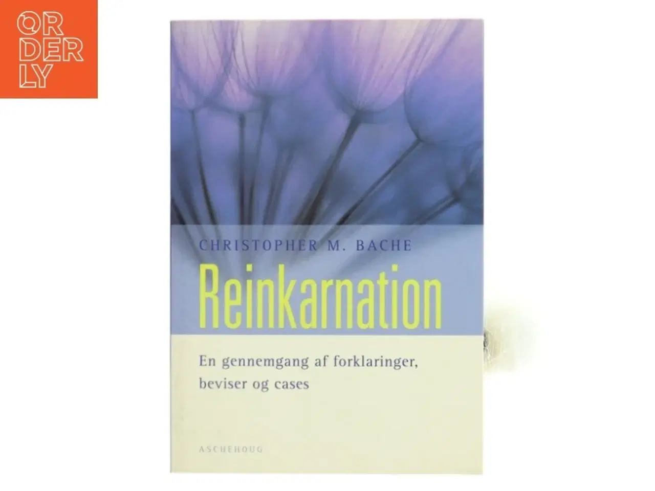 Billede 1 - Reinkarnation af Christopher M. Bache (Bog)