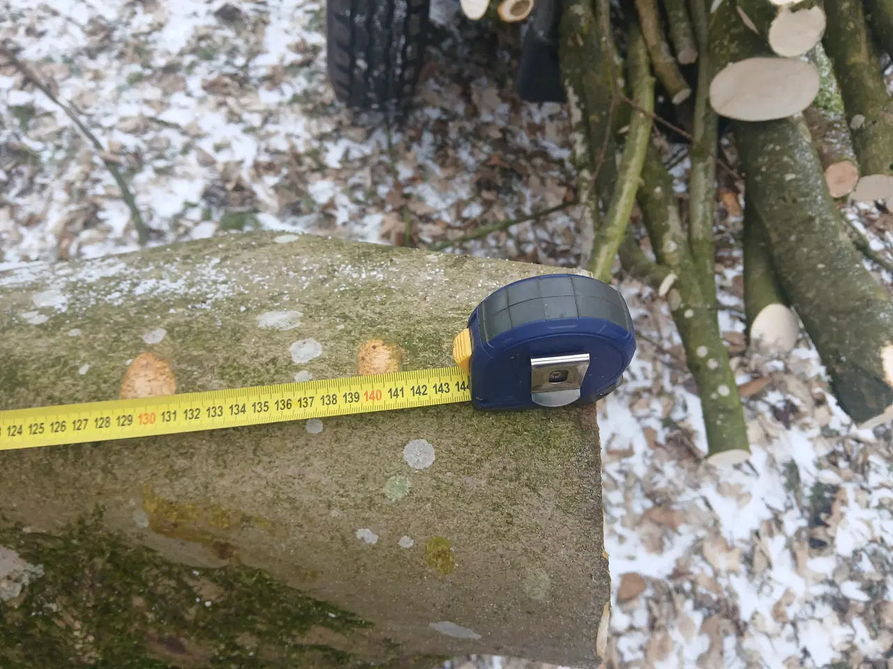 Billede 3 - Ahorntræ fældet og parteret i stamme og grene