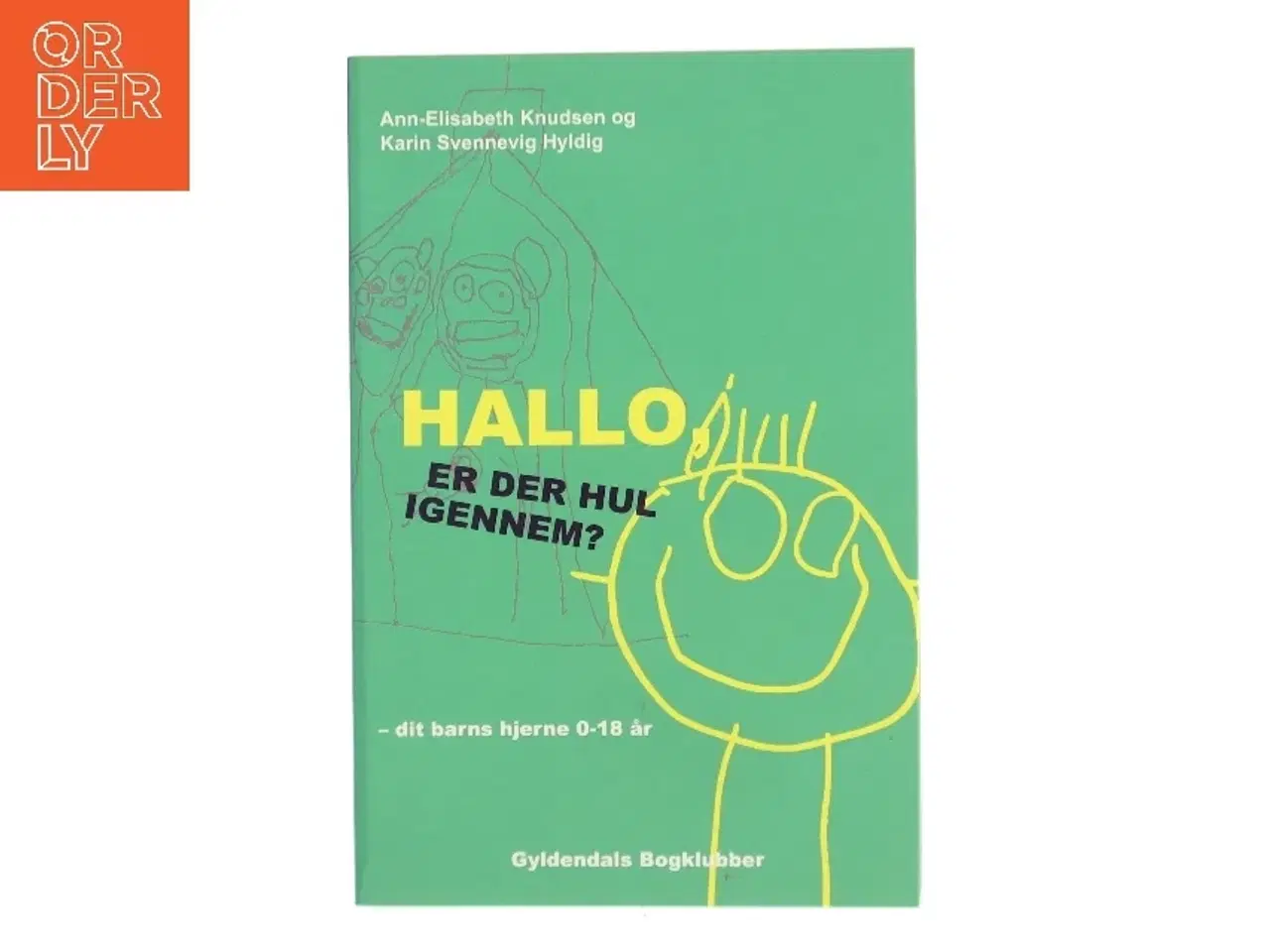 Billede 1 - Hallo - er der hul igennem? : dit barns hjerne fra 0 til 18 år (Bog)