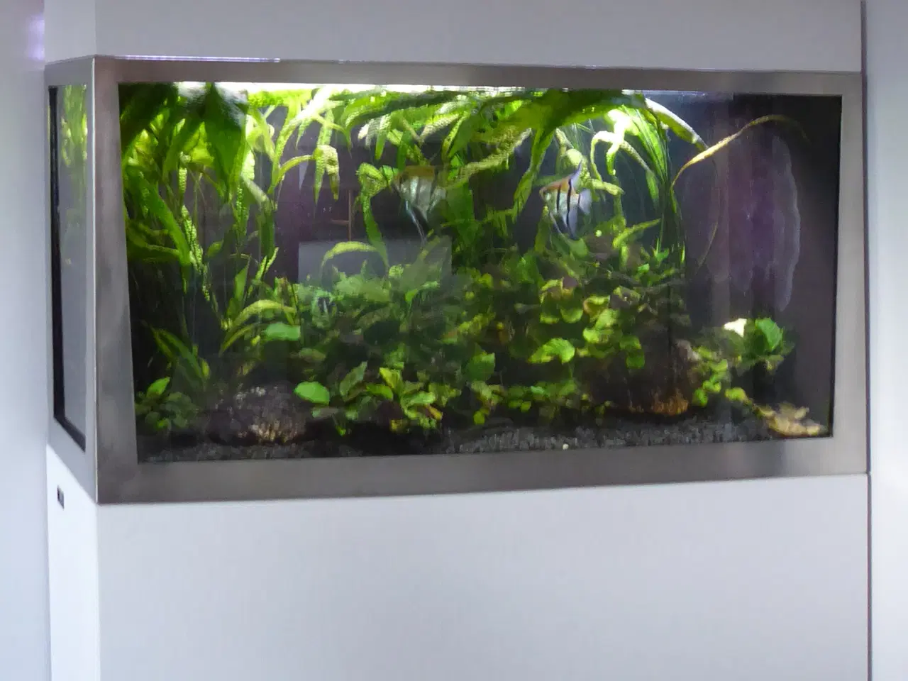 Billede 1 - Akvarie 450 liter