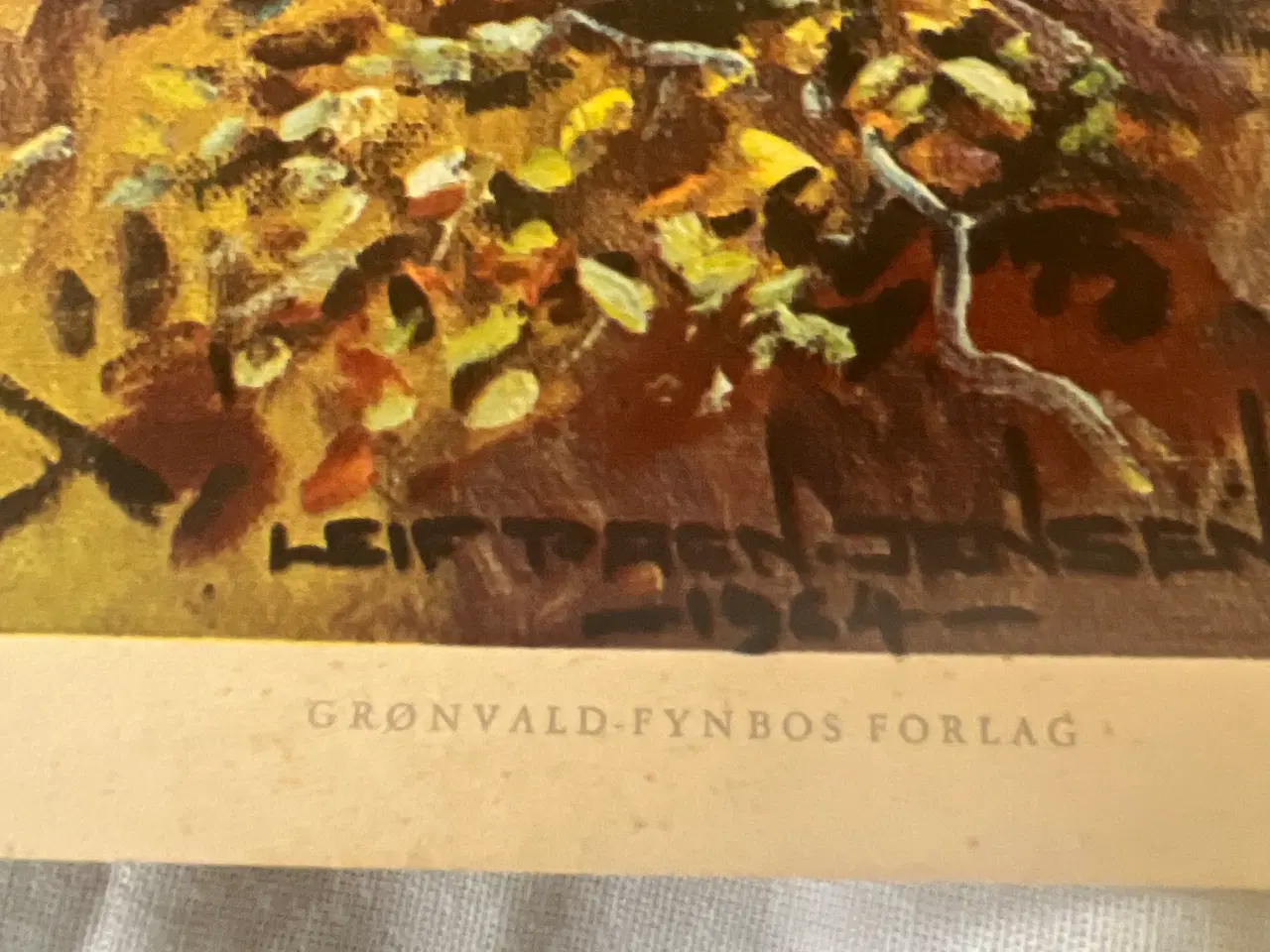 Billede 9 - Vilt billeder i tryk