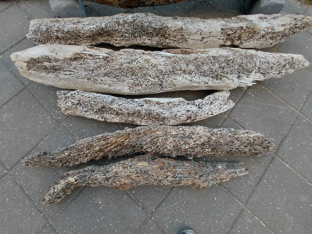 Billede 5 - Drivtømmer 