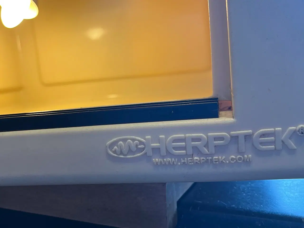 Billede 2 - Terrarier