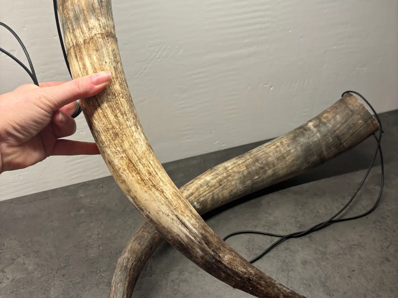 Billede 2 - 2 stk. Kohorn/Drikkehorn