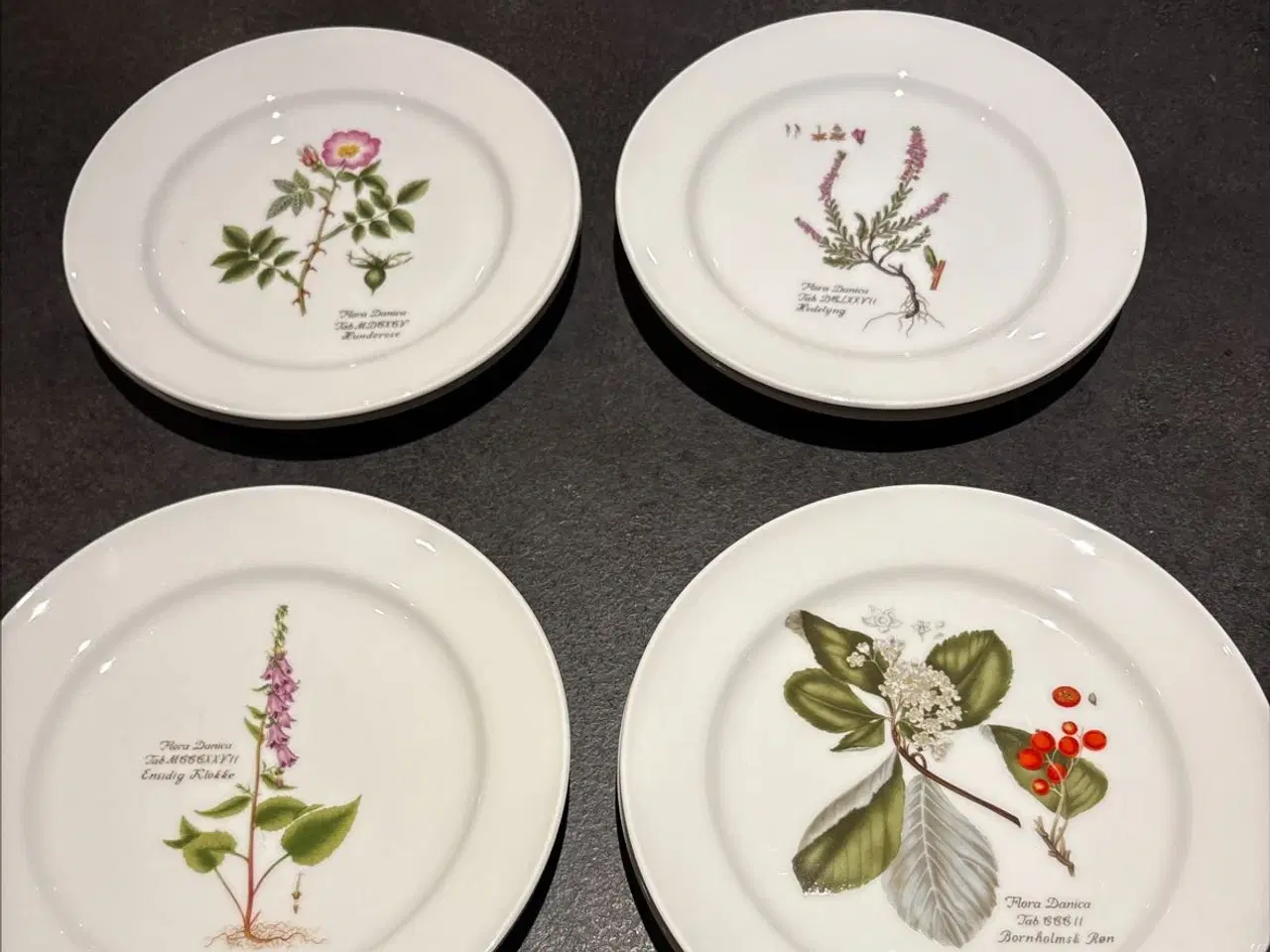 Billede 1 - Flora Danica tallerkener sælges 