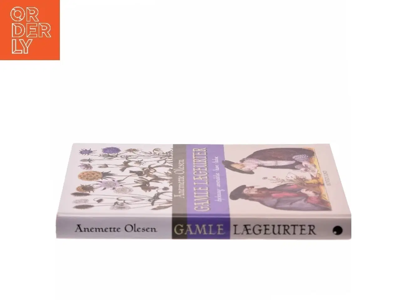 Billede 2 - Gamle lægeurter : dyrkning, anvendelse, have, helse af Anemette Olesen (f. 1952) (Bog)