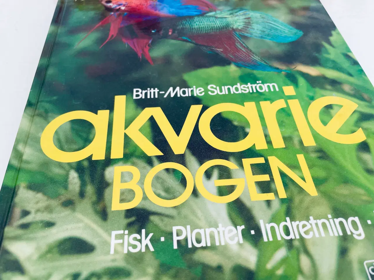 Billede 10 - Akvarie Bogen 