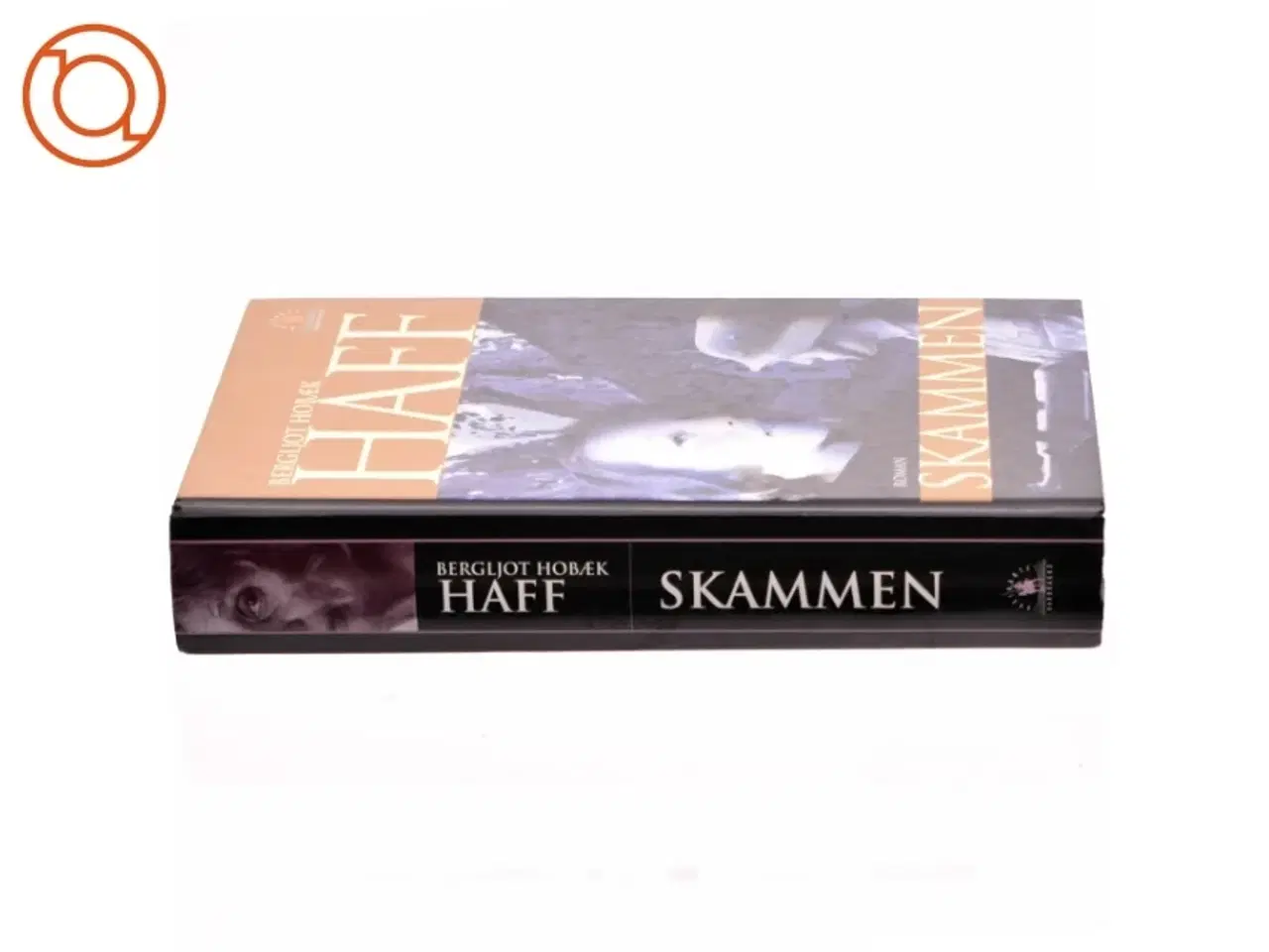 Billede 2 - Skammen : roman af Bergljot Hobæk Haff (Bog)