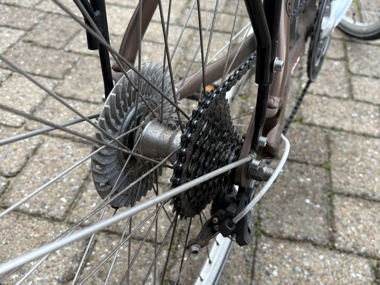 Billede 3 - FUJI PRO 9 Roller damecykel