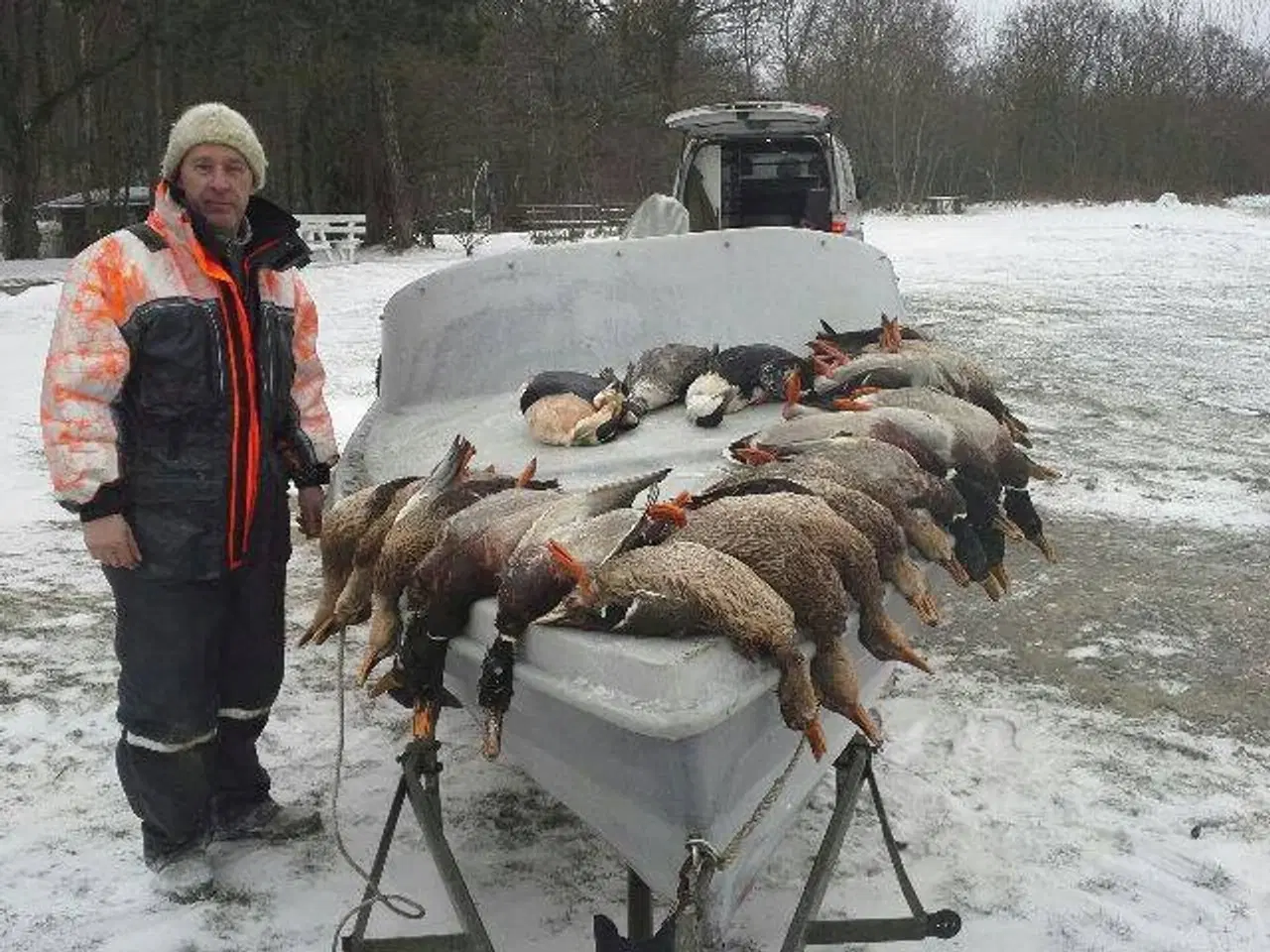 Billede 1 - sortkruds Patroner 12/65 købes