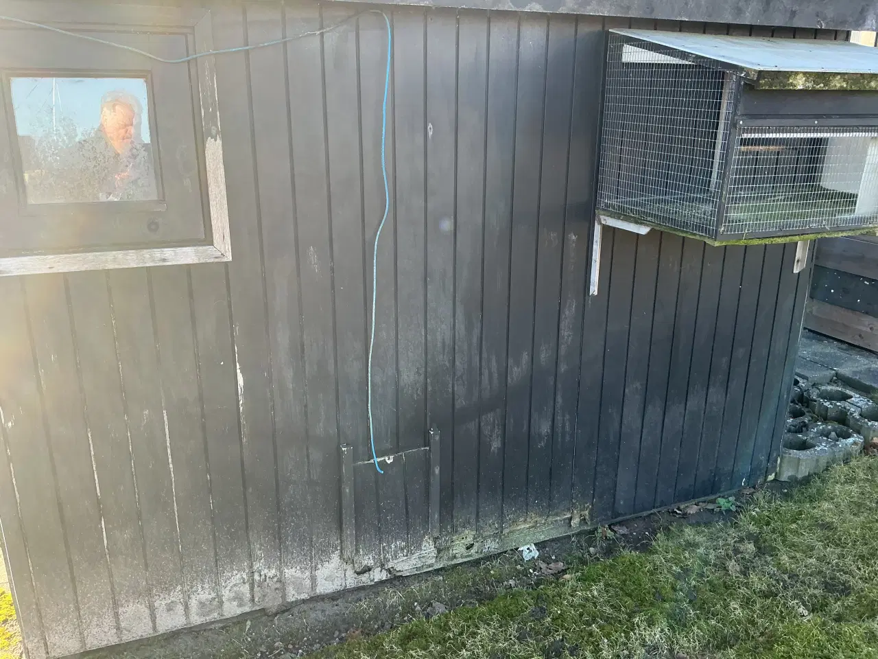 Billede 2 - Due/hønsehus ( gratis)