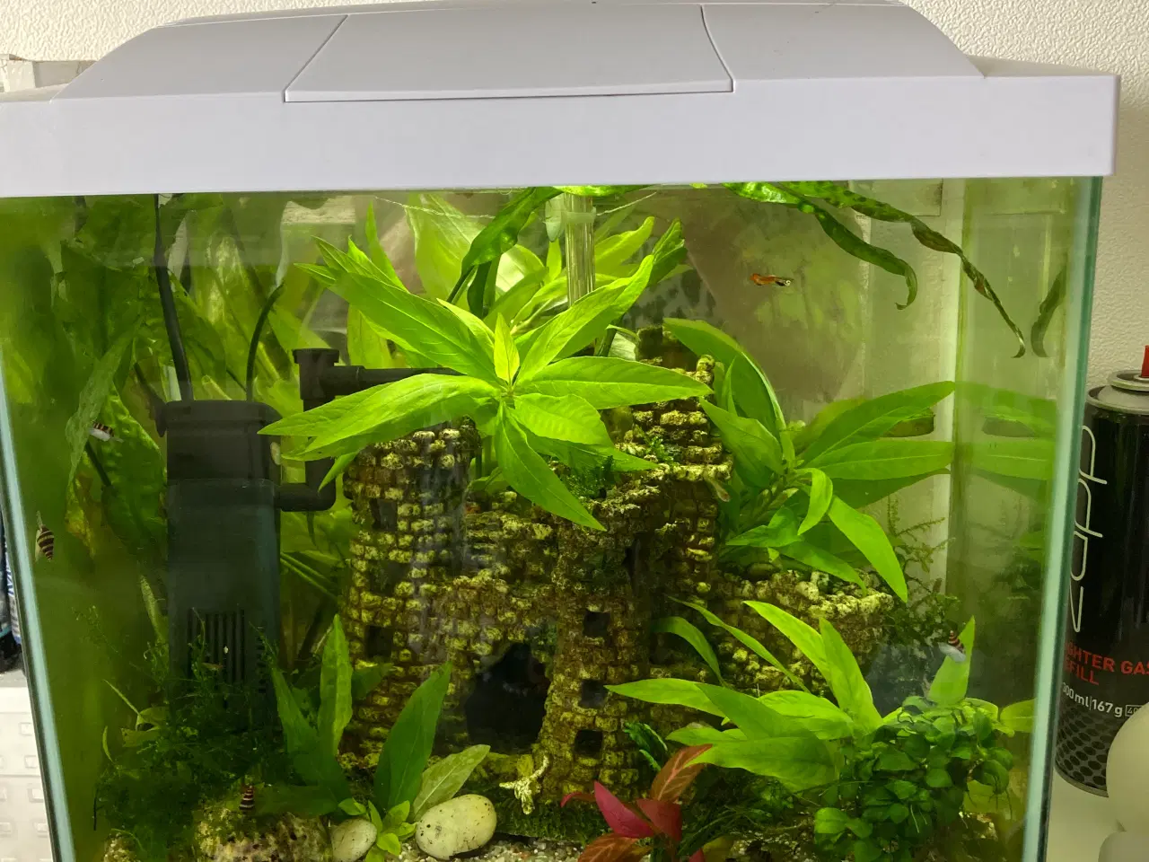 Billede 1 - Akvarie
