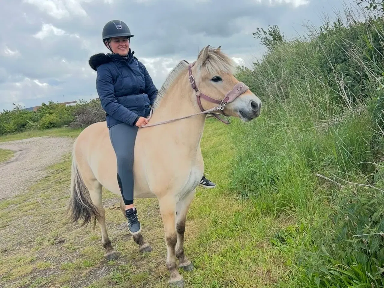 Billede 3 - Pony leder efter part! 