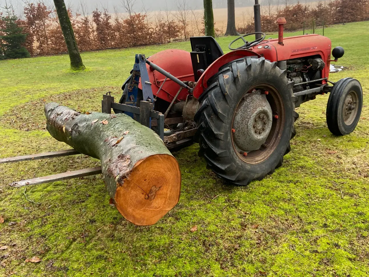 Billede 2 - Massey Ferguson 35 diesel 3 cyl.