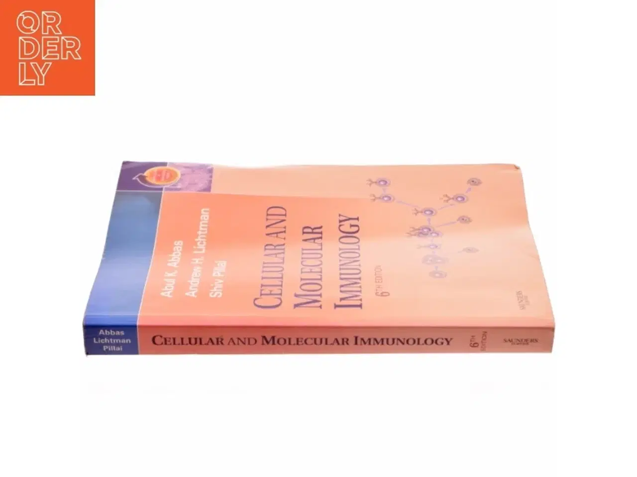 Billede 2 - Cellular and molecular immunology (Bog)